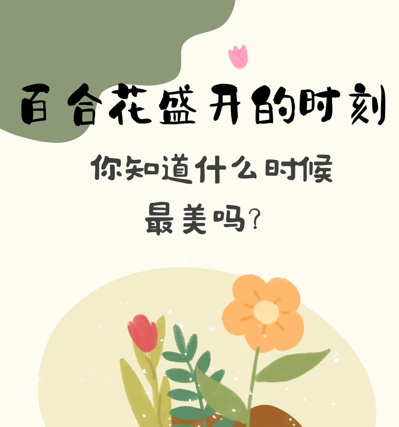 百合花有哪些用途？了解百合花的用途和意义是什么？