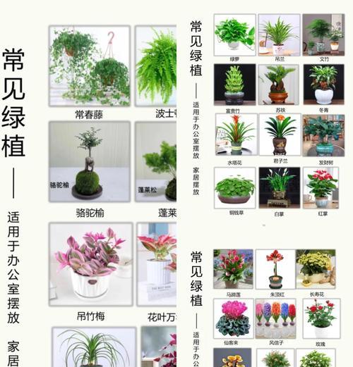 花卉园的工作种类及其职责是什么？