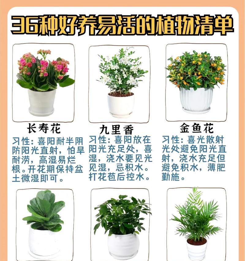 花卉园的工作种类及其职责是什么？
