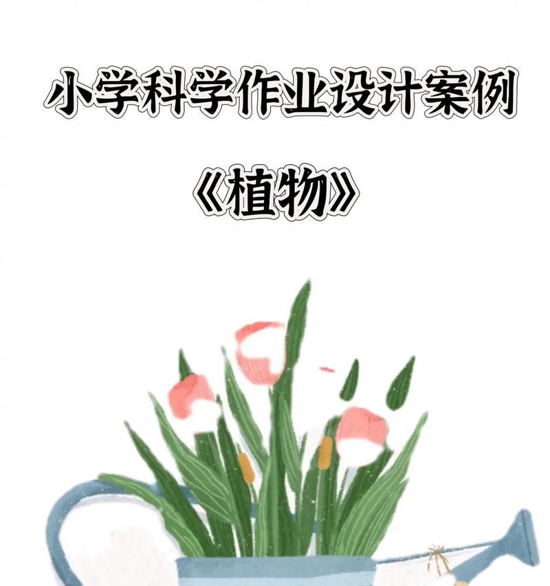 清雅种植植物的方法是什么？有哪些注意事项？