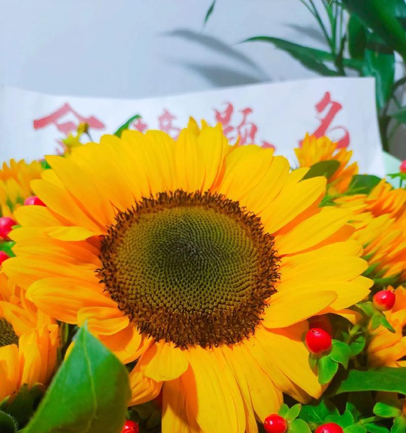 哪种花的花语代表放弃？放弃的花语是什么？