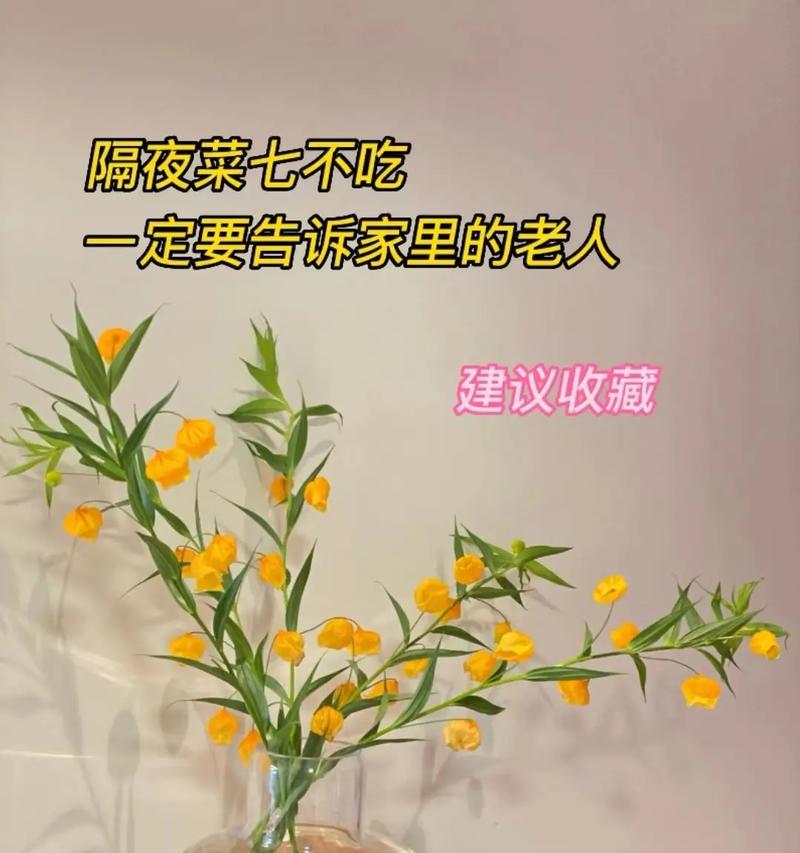 哪些植物不宜过夜放置？