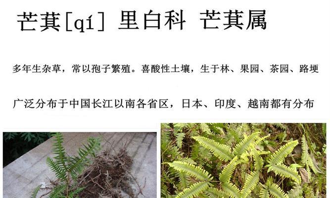 哪些植物不宜过夜放置？