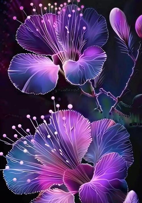 紫色薰衣草的花语有哪些？