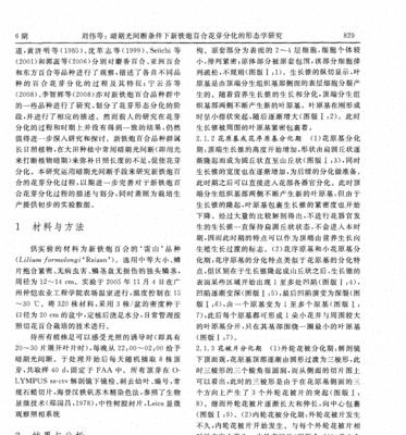 百合花芽分化需要注意哪些事项？