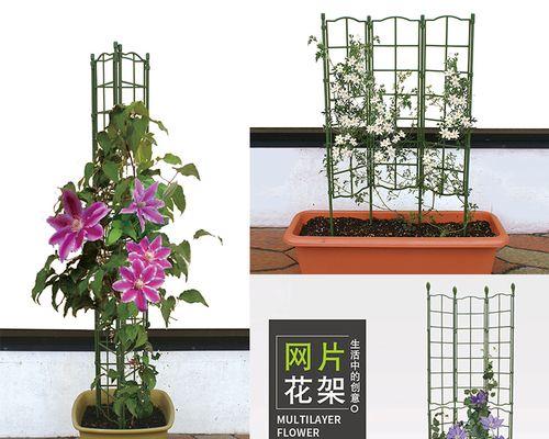 高温天气下，哪些植物支架可以有效保护植物？
