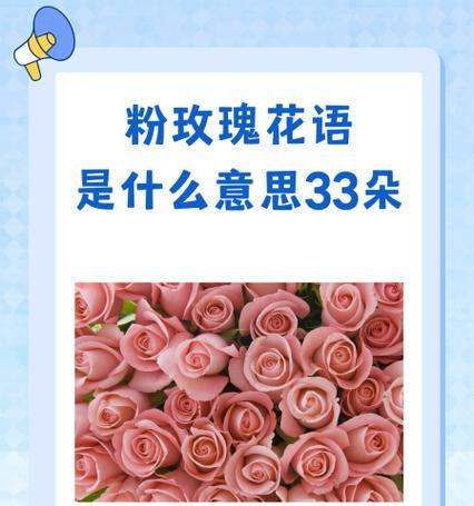玫瑰花三四束代表什么？不同数量玫瑰花的花语有何区别？