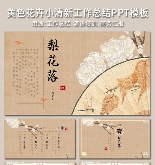 哪些花卉偏黄色系？它们的养护要点是什么？
