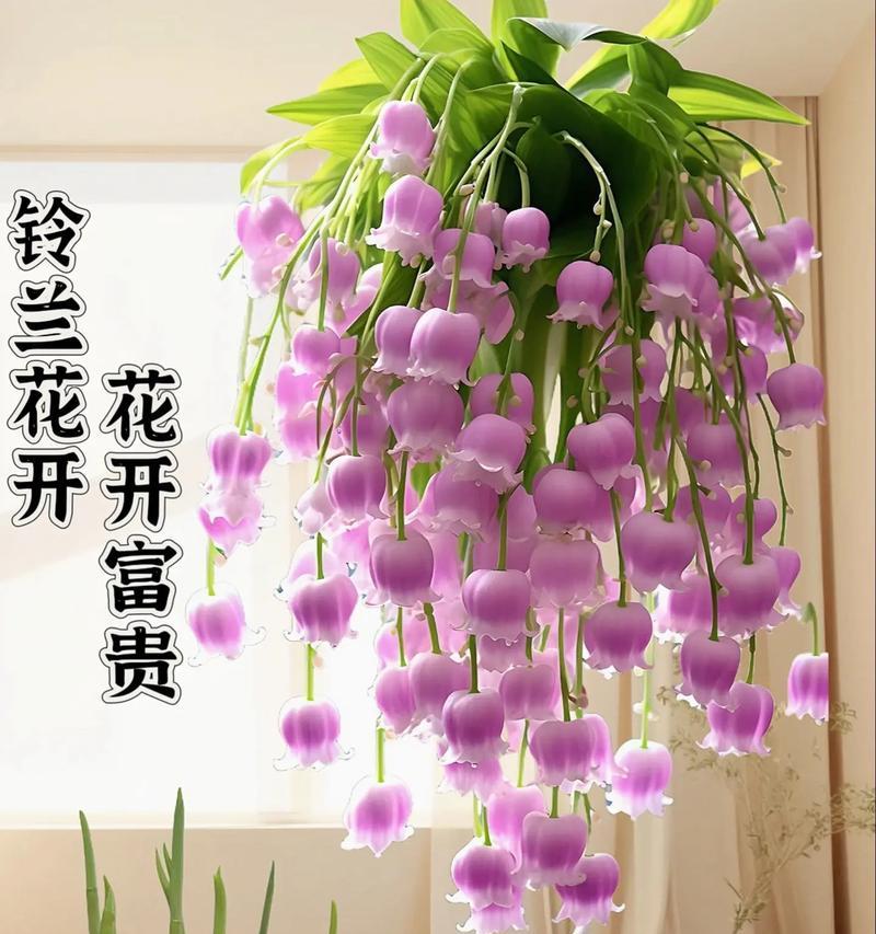 白色盆栽适合种植哪些花卉？白色盆栽的搭配技巧是什么？