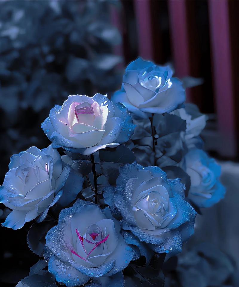 粘土制作的玫瑰花有何花语？这种手工艺品的寓意是什么？