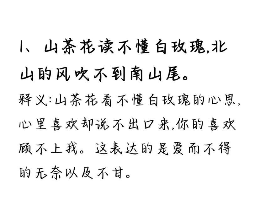 山茶花与白玫瑰相遇有何特殊含义？