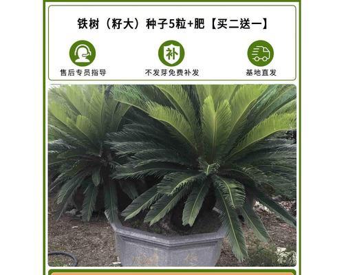 水性植物种子有何特性？