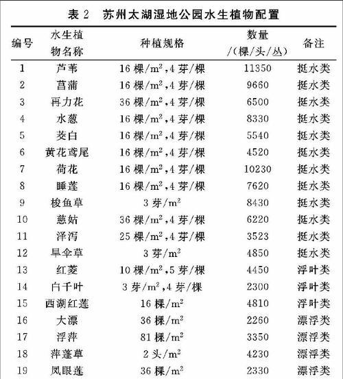 净水植物的选择和作用是什么？