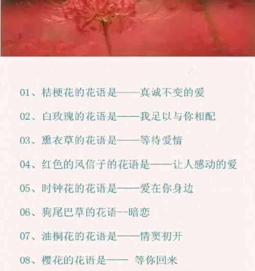 南方有哪些花卉及其独特的花语？