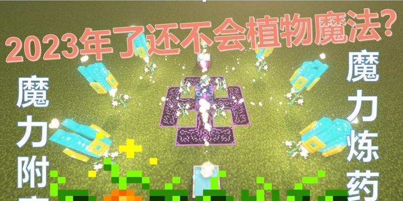 植物魔法附魔需要多长时间学习？学习过程中应注意什么？