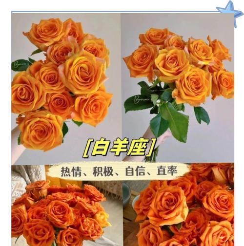 金色玫瑰代表的花语是什么？