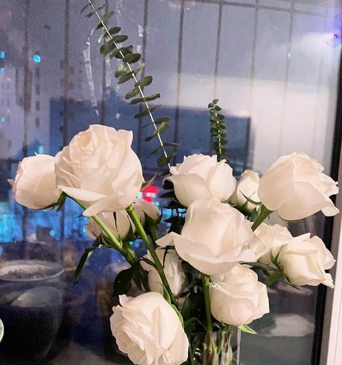 白玫瑰和真玫瑰的花语有何不同？它们各自代表什么？