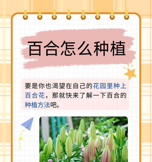 百合变种有哪些特点和分类？