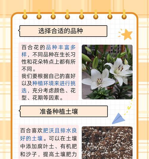 百合变种有哪些特点和分类？