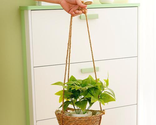 吊绳适合哪些植物悬挂？如何正确使用吊绳？