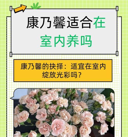 花卉在不同场合代表什么意义？