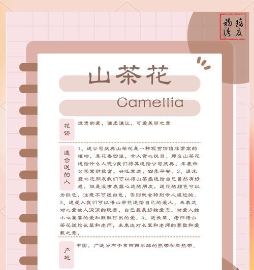 花卉在不同场合代表什么意义？