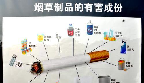植物烟的烟盒怎么折？有没有简单的教程？