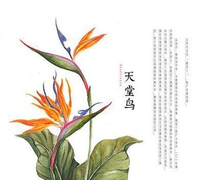 去除土腥味花卉的方法有哪些？如何保持花卉的清新？