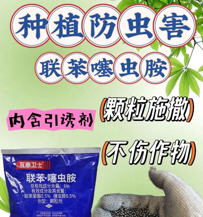 花卉小虫害如何防治？使用哪种药物最有效？