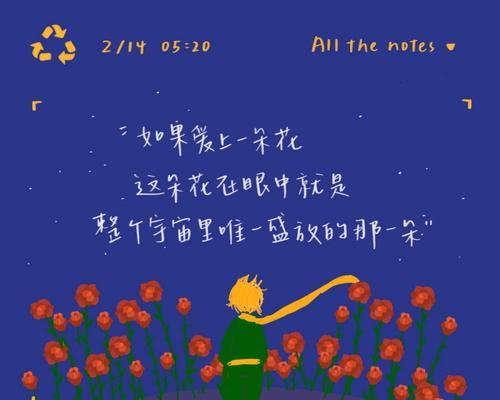 小王子玫瑰花编织的寓意是什么？它代表什么？