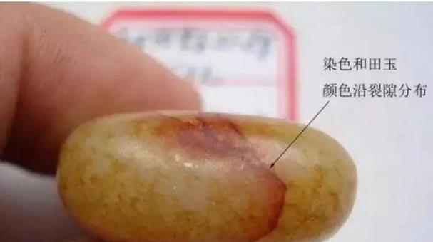 如何辨别花卉的真伪？有哪些有效方法？