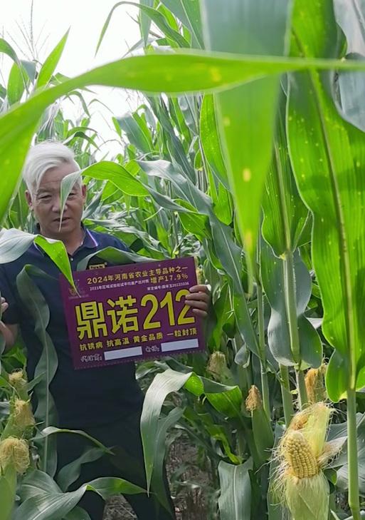适合种植百合的海拔高度是多少？如何选择最佳种植地点？