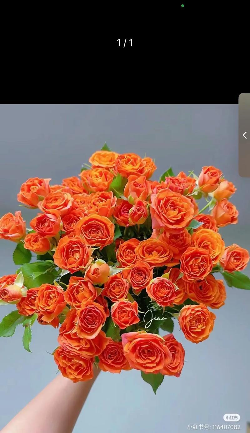 送多少支玫瑰花代表什么？