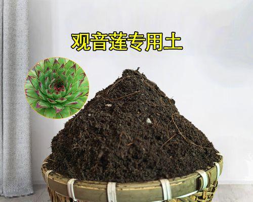 花卉盆景专用土壤肥料的选择和使用方法是什么？