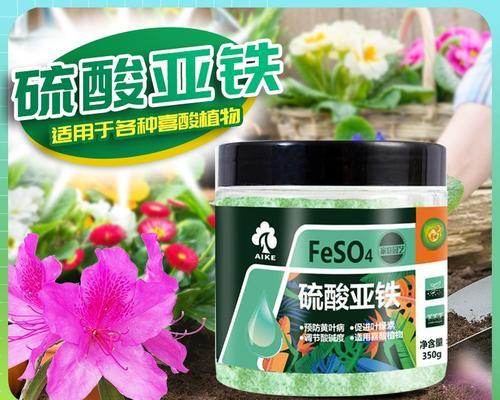 花卉盆景专用土壤肥料的选择和使用方法是什么？