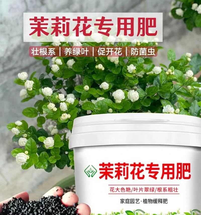 花卉盆景专用土壤肥料的选择和使用方法是什么？