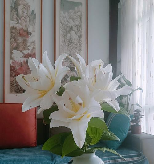 百合绽放是什么意思啊网络用语？网络用语中百合的含义是什么？