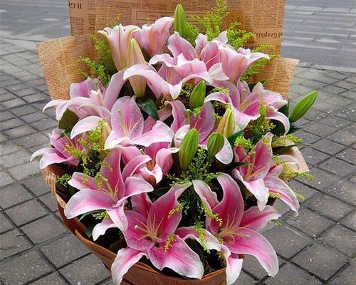 供奉百合花在观音面前的含义是什么？