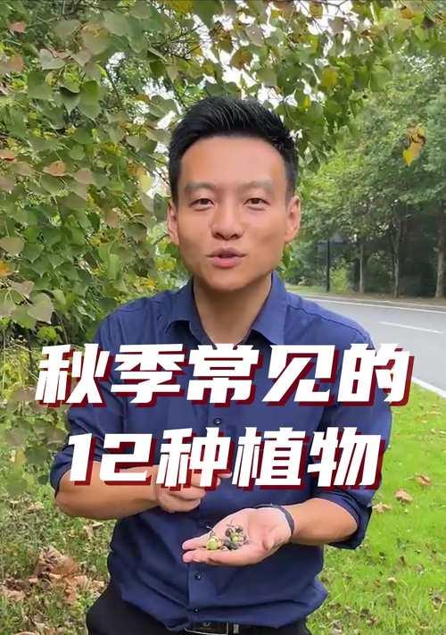 秋天适合种植哪些植物？如何进行养护？