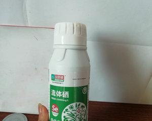 花卉酵素是什么？它对花卉生长有什么作用？