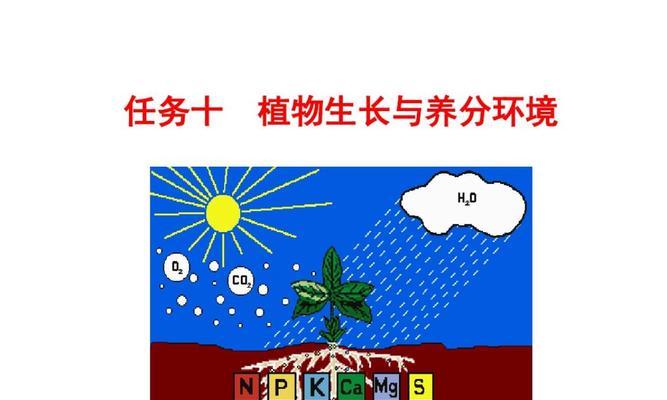 植物是如何从土壤中吸收养分的？哪些元素是植物生长必需的？