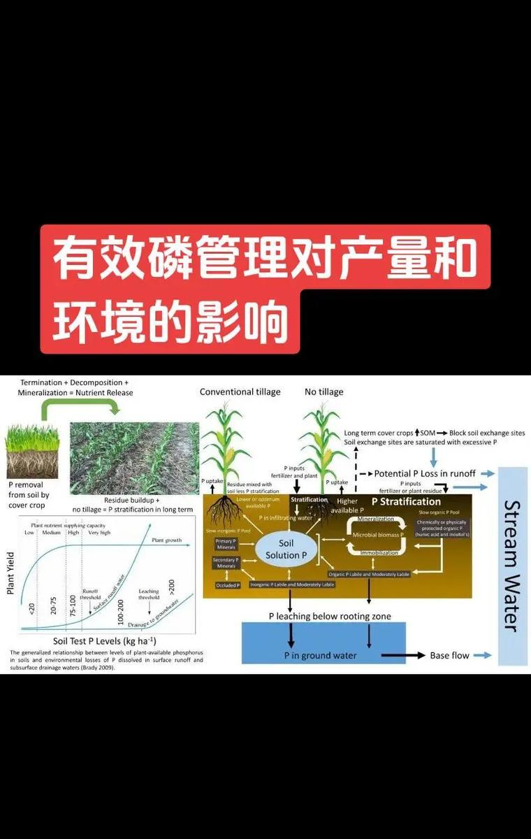 植物是如何从土壤中吸收养分的？哪些元素是植物生长必需的？