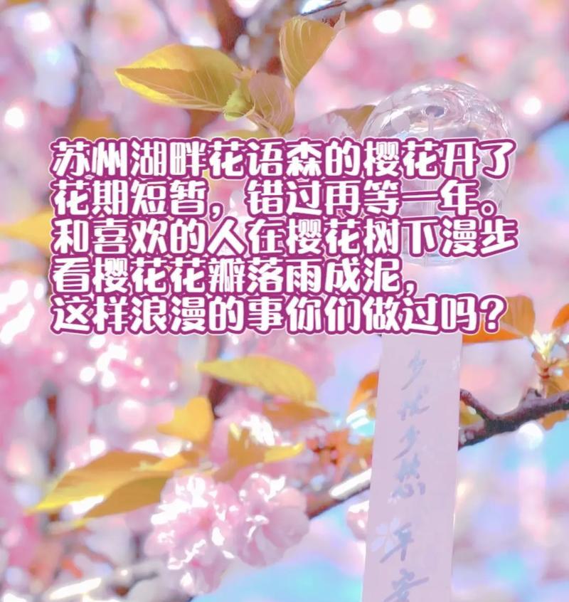樱花的花语有哪些？