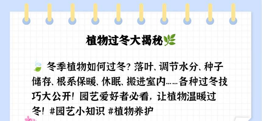 室内植物冬季如何保暖？有哪些过冬的注意事项？