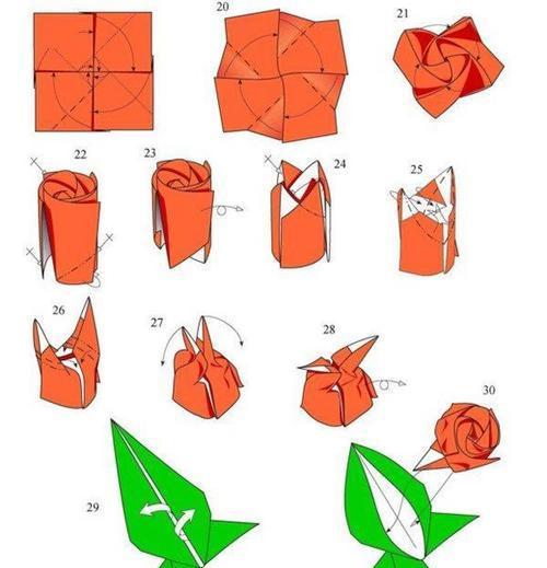 培育新品种玫瑰花的步骤是什么？需要哪些特殊条件？