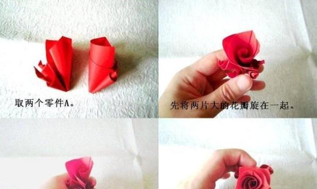 培育新品种玫瑰花的步骤是什么？需要哪些特殊条件？