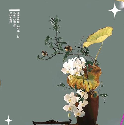 瓶花的寓意是什么？瓶花在不同文化中的意义有何不同？