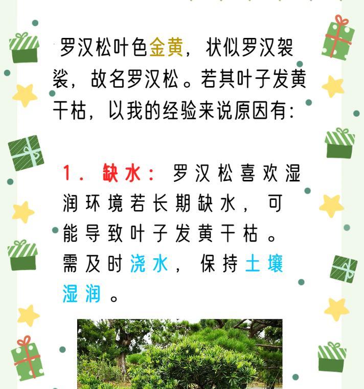 植物发黄是缺水还是病害？如何正确处理？