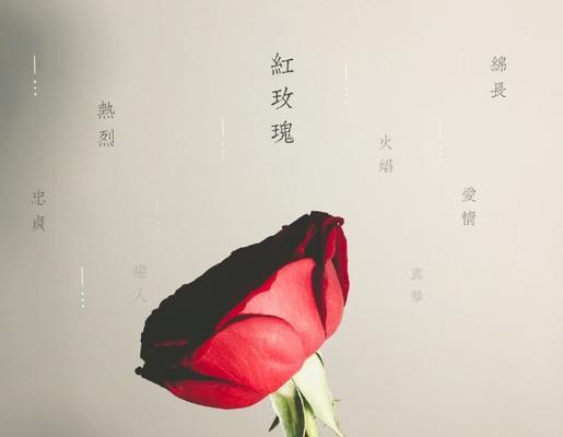 粤语中“你是玫瑰花”是什么意思？它表达了什么情感？