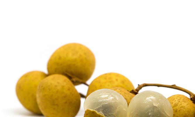 龙眼同科类植物有哪些？它们各自有什么特点？